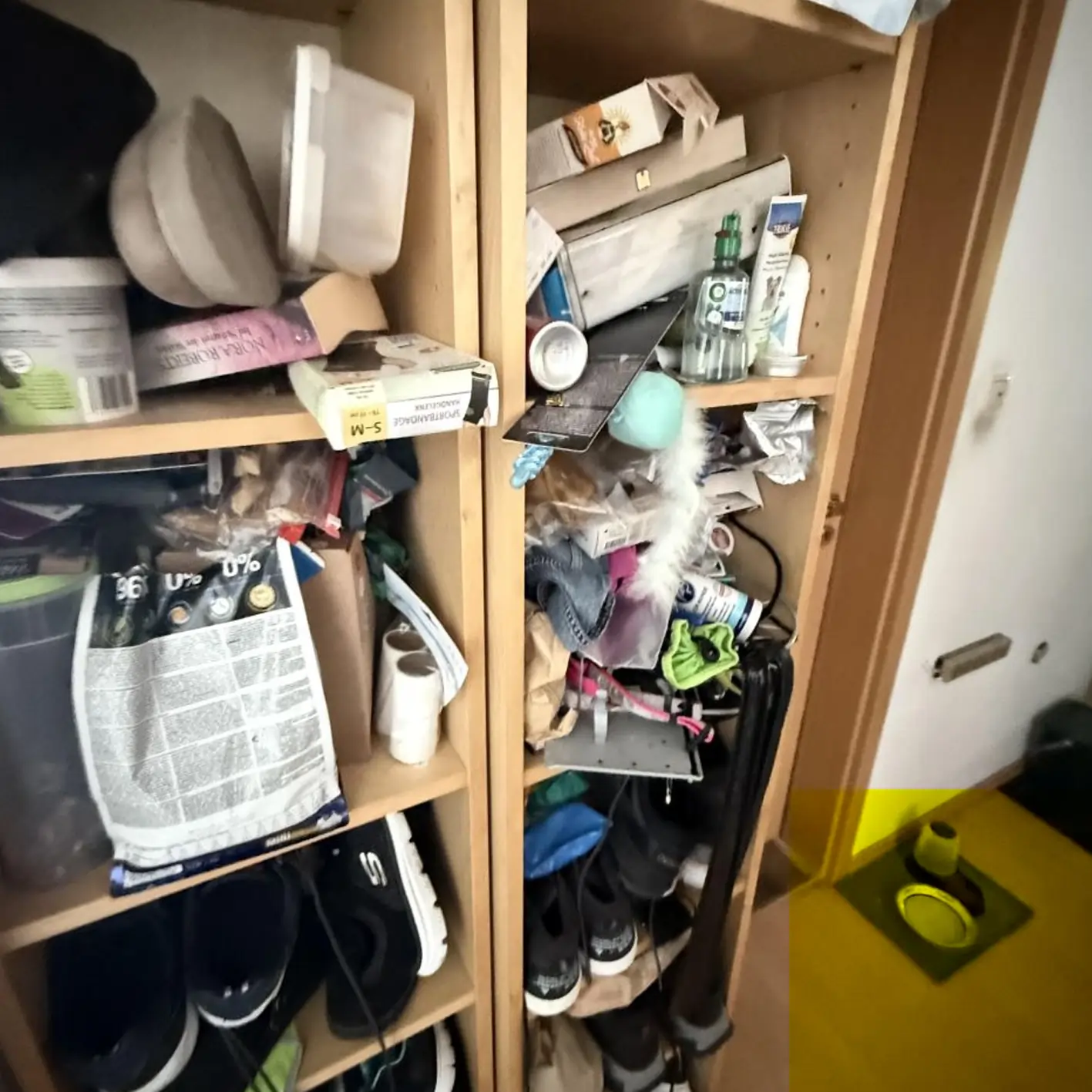 Messie-Wohnung räumen Mit diesen Kosten sollten Sie rechnen Messie-Wohnung räumen Mit diesen Kosten sollten Sie rechnen